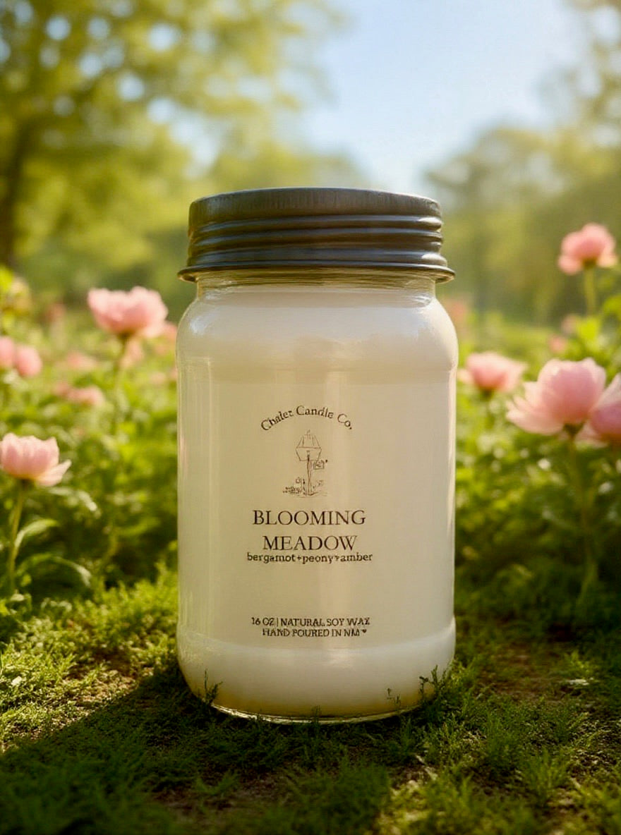 Blooming Meadow